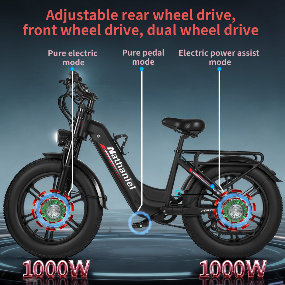 Volwassen elektrische fiets Na - Dual Motor Ebike Kit 2000W recensie en prijs
